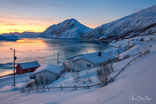 Hus i en fjord