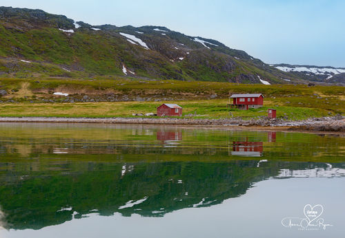 Røde hytter ved en stille fjord