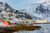Vinter i en arktisk fjord