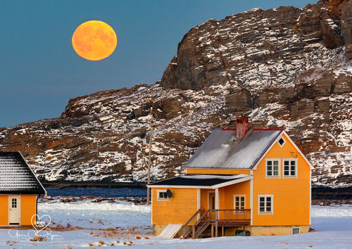 Måne over gule hus