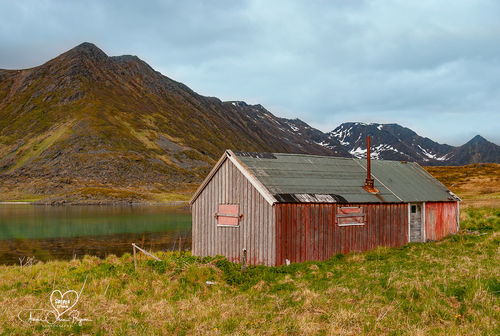 I en forlatt fjord - Gåshopen
