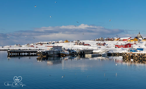 Vinterdag i Hasvik havn