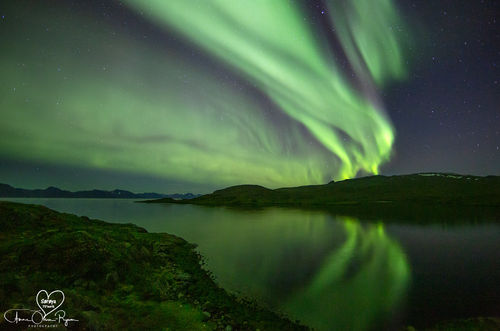 Nordlys over fjord