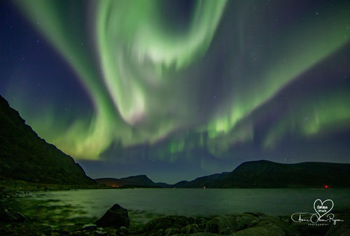 Nordlys over fjord